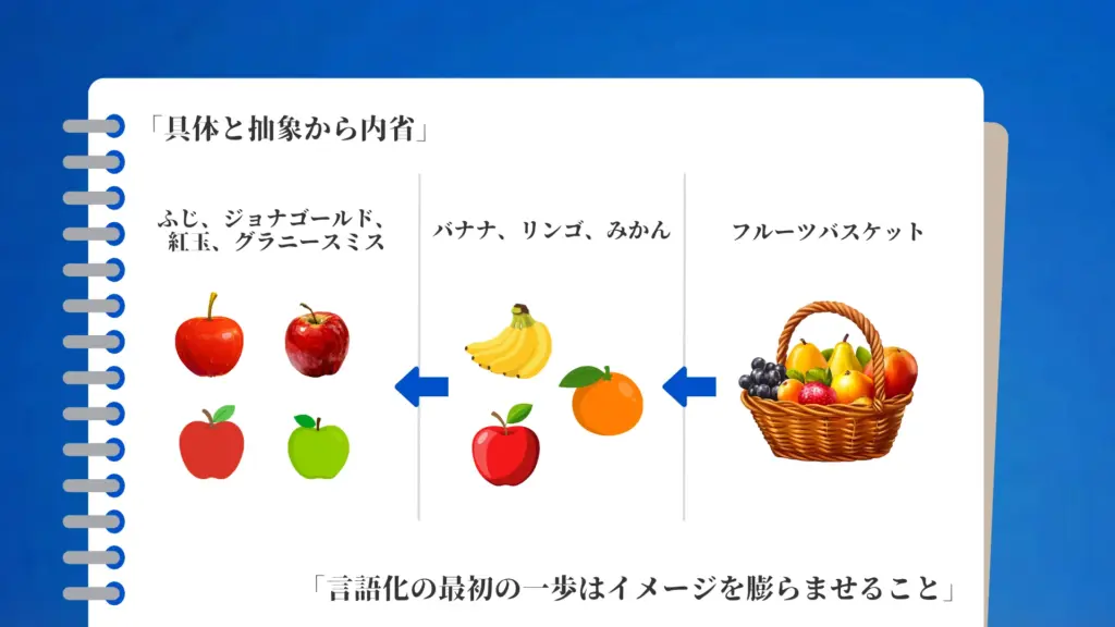 個別のリンゴの品種名から、果物という抽象的な分類、さらにフルーツバスケットというまとまりへと概念が拡張・再構成されていく様子を示した図。